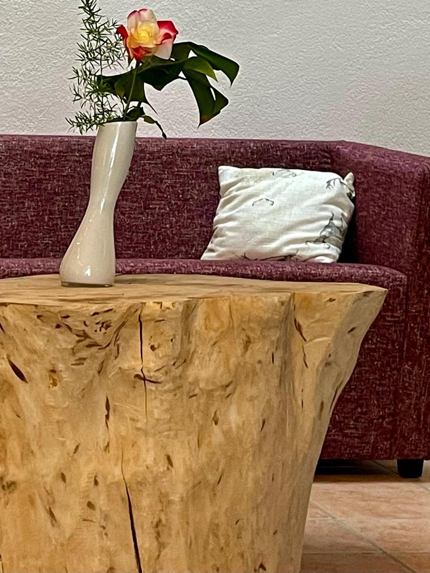 Hotel Larch Кампо ди Тренс Екстериор снимка