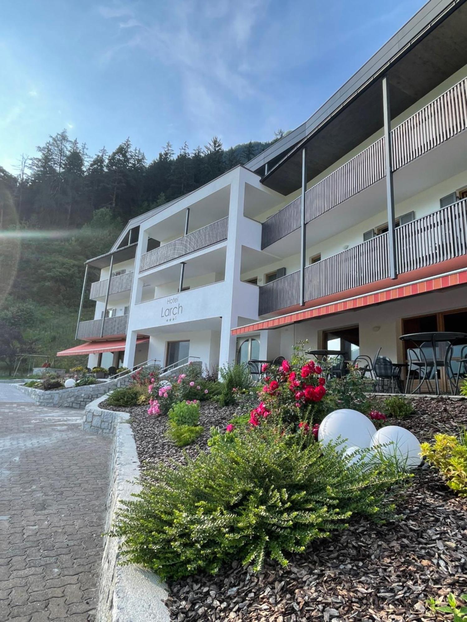 Hotel Larch Кампо ди Тренс Екстериор снимка