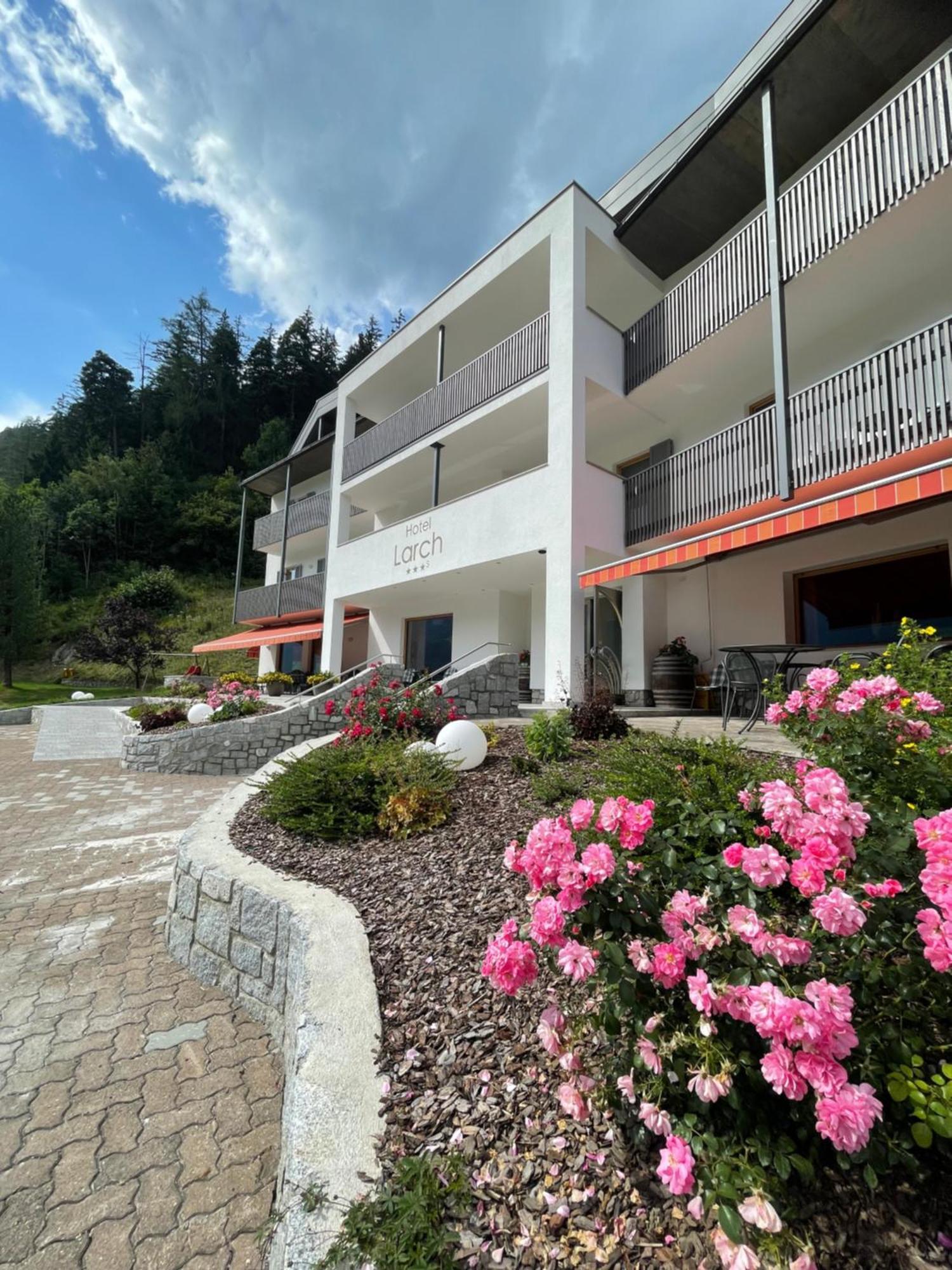 Hotel Larch Кампо ди Тренс Екстериор снимка